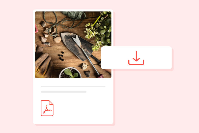 An illustration of pdf download being sold online.