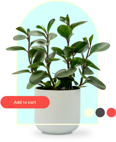 Collage of a plant, add to card button and some colors